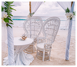 Wedding and engagement planning in Mira Bhayandar
